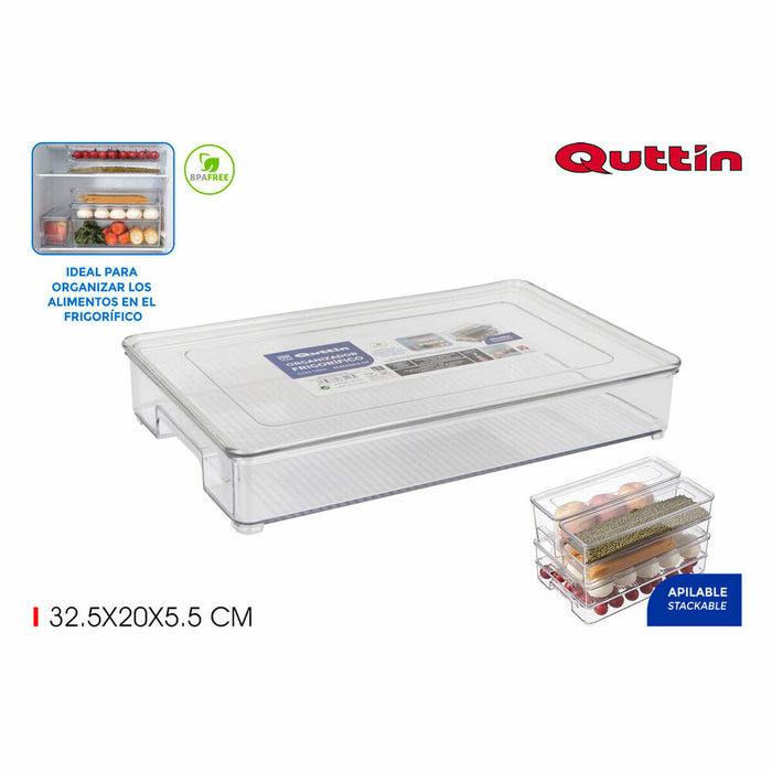 Organizador Multiusos Quttin Con Tapa (32,5 x 20 x 5,5 cm)