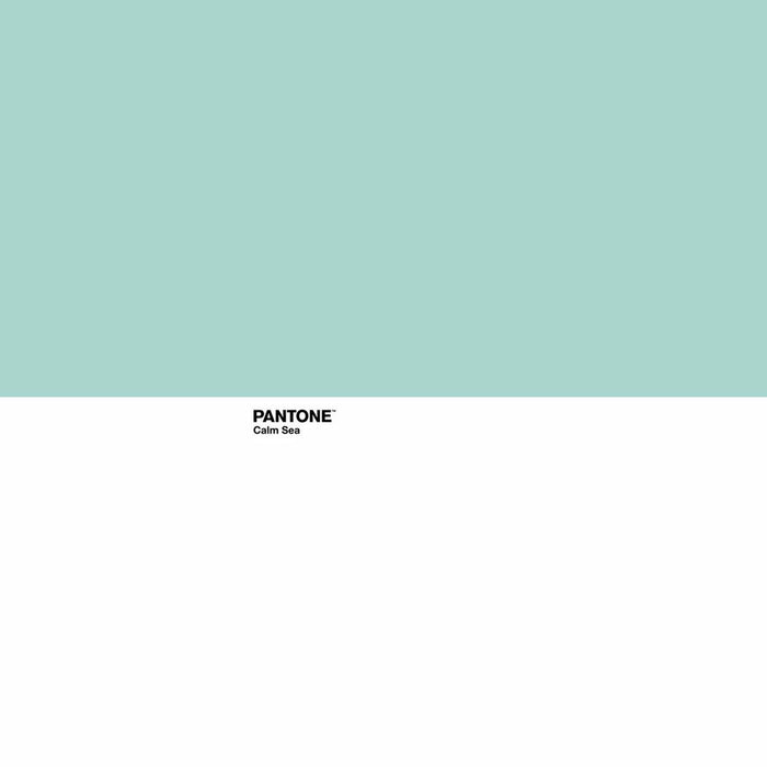 Sábana Encimera Pantone Calm Sea 160 x 270 cm (Cama de 90)