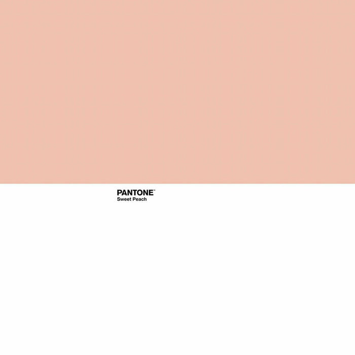 Funda Nórdica Pantone Sweet Peach Cama de 135 (220 x 220 cm)